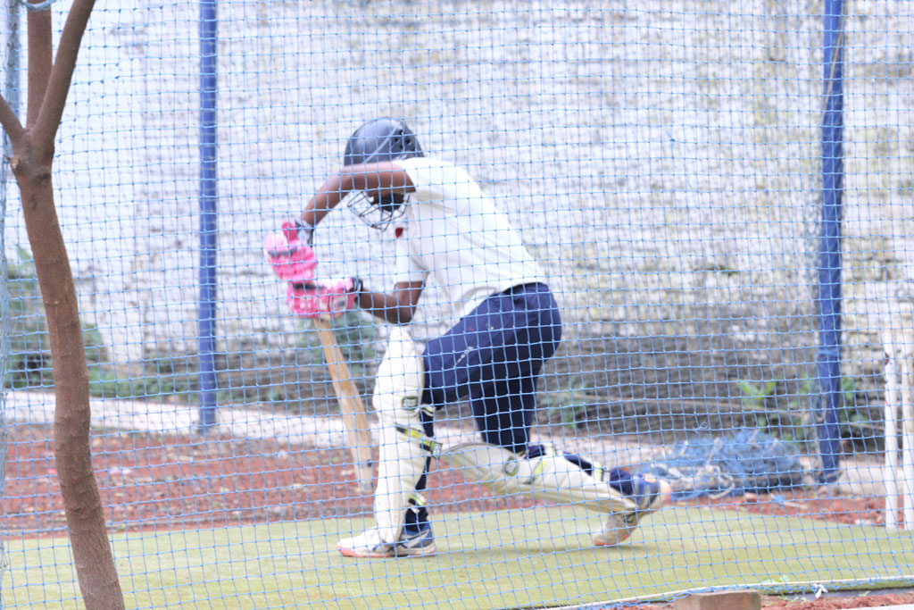 cricket-picture